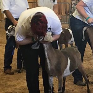 Meet your Posher, Tori