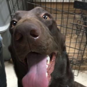 Meet your Posher, Madison