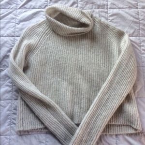 Aritzia Thick Wool Cropped Turtleneck