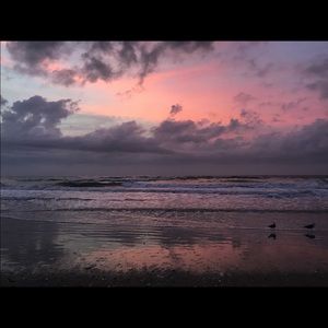 Meet your Posher, Dana