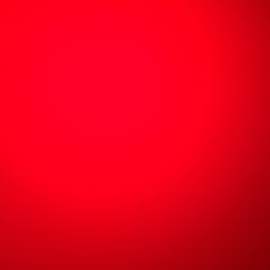 Meet your Posher, Joselyn