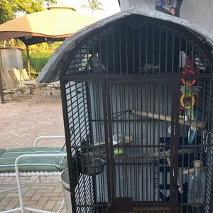 Meet your Posher, Lady