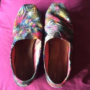 Rare Palm Tree Tom's