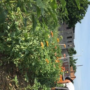 Meet your Posher, Jamila