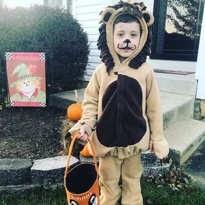 Lion costume