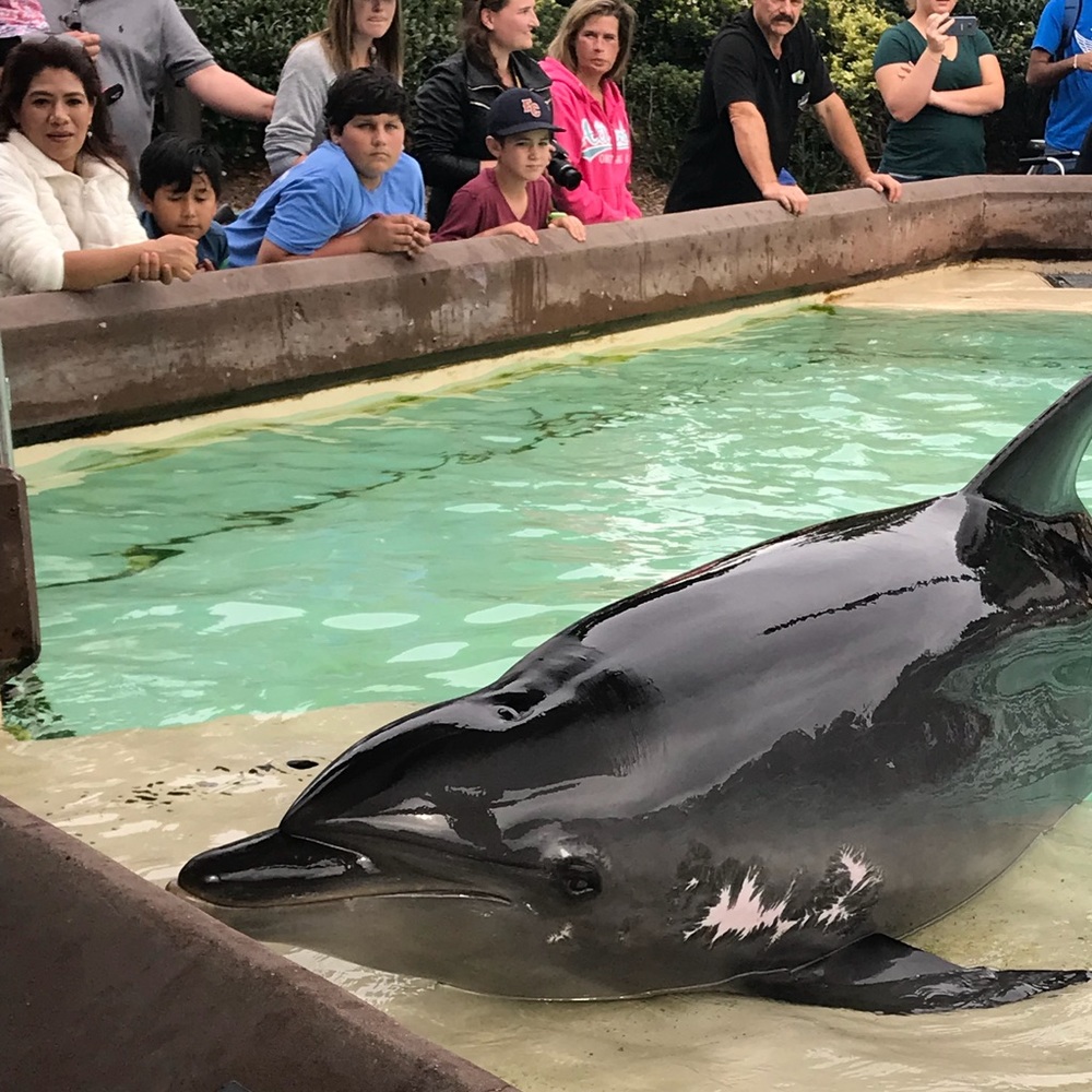 Meet your Posher, Molly