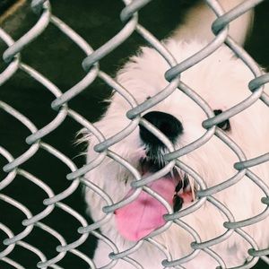 Meet your Posher, Lo