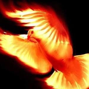 Meet your Posher, Fabiola