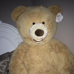 Meet your Posher, Destiny