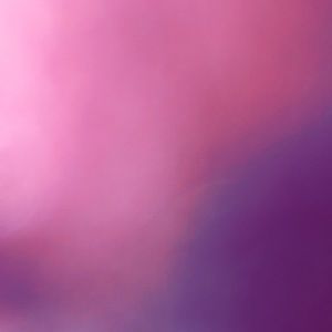 Meet your Posher, Luis