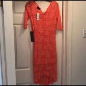 Bebe Stretch Lace Dress🌸