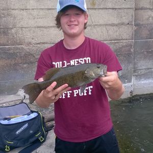 Meet your Posher, Tyler