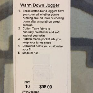 Lululemon Warm Down Jogger