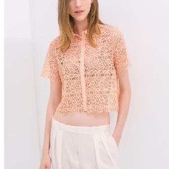 Small Zara basic pink lace crop top - Picture 3 of 6