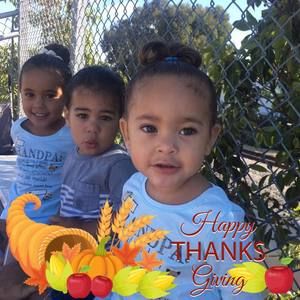 Meet your Posher, Rosemary