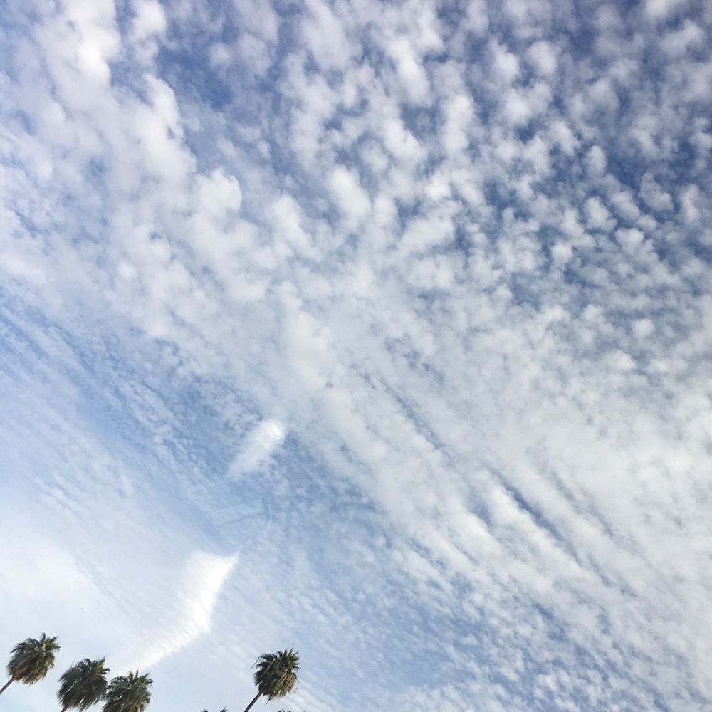 Meet your Posher, Aj