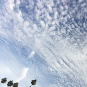 Meet your Posher, Aj