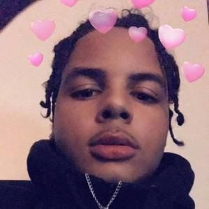 Meet your Posher, Rocco