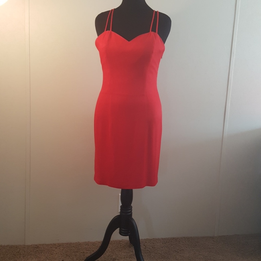 Stunning Morningside Dress