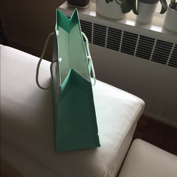 Tiffany&Co Gift Paper Shopping Bag - Picture 2 of 5