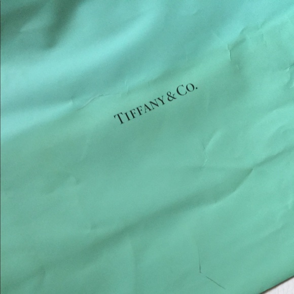 Tiffany&Co Gift Paper Shopping Bag - Picture 5 of 5