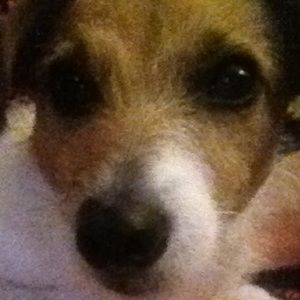 Meet your Posher, Summer