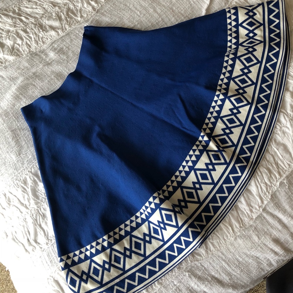 Beautiful skirt from Francesca’s.