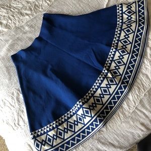 Beautiful skirt from Francesca’s.