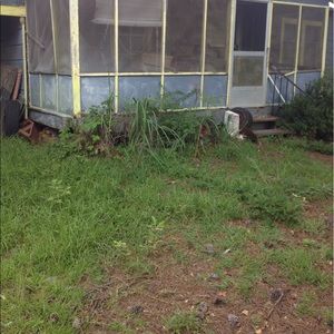 Meet your Posher, Jessie