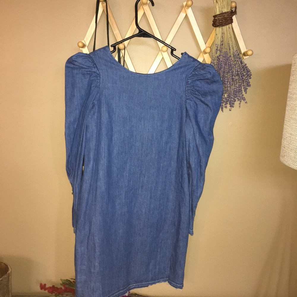 Super cute jean long sleeve Zara dress