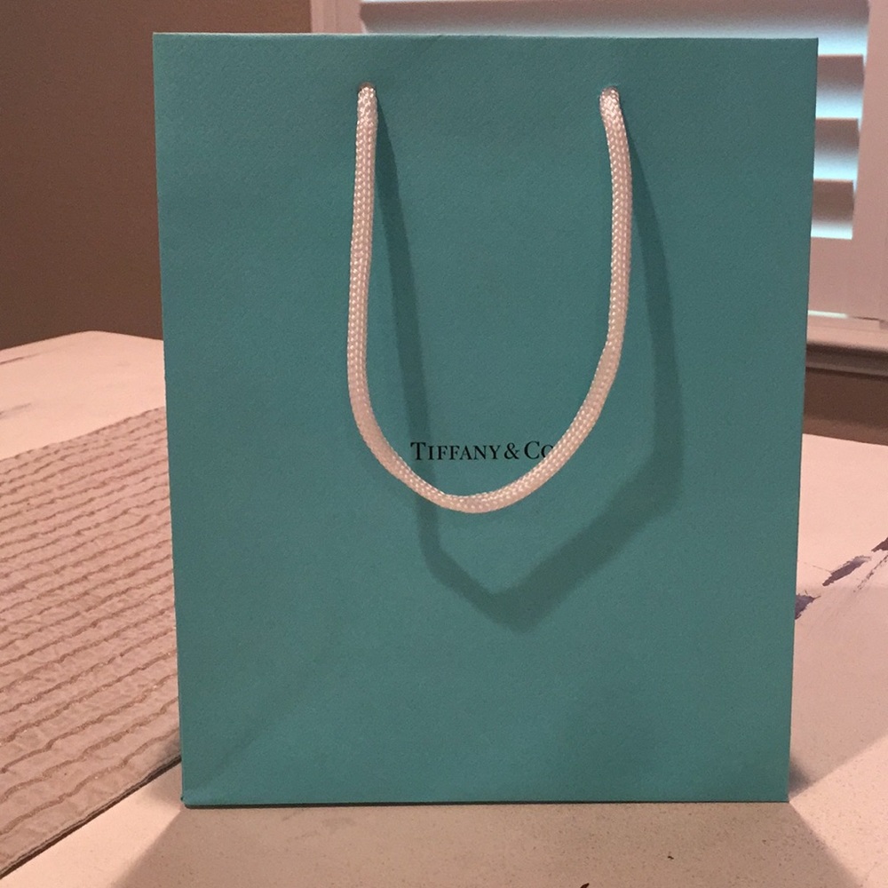 Tiffany & Co gift bag