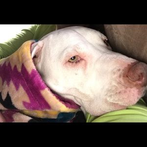 Meet your Posher, Deanna