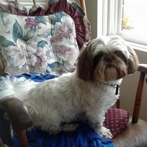 Meet your Posher, Nancy - Picture 1 of 1