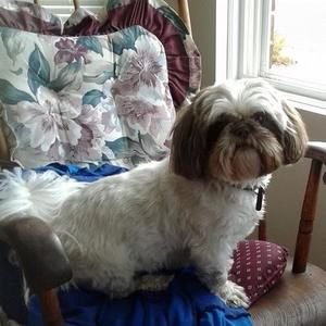 Meet your Posher, Nancy