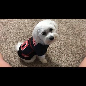 Meet your Posher, Justin