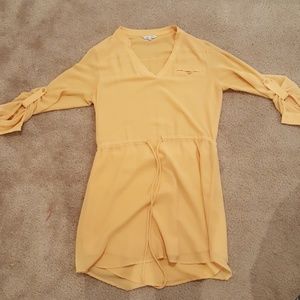 Naked Zebra daytime dress