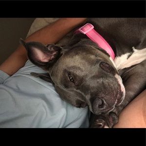 Meet your Posher, Jeremy