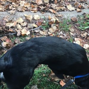 Meet your Posher, Quan