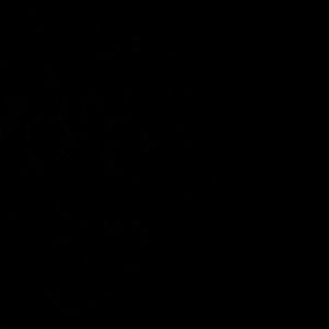 Meet your Posher, Angelo