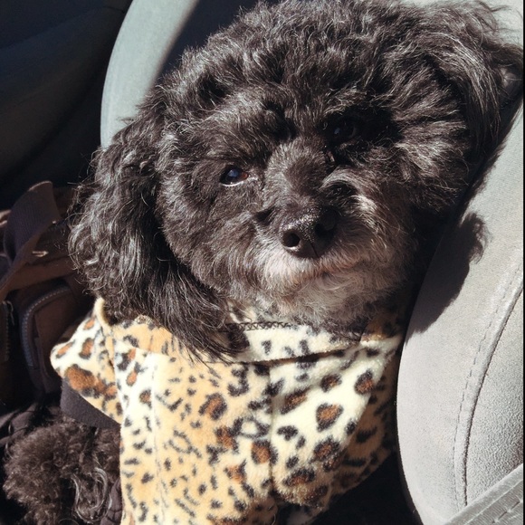 Meet your Posher, Janelle - Picture 1 of 1