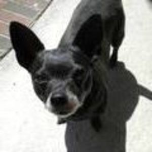 Meet your Posher, Linda