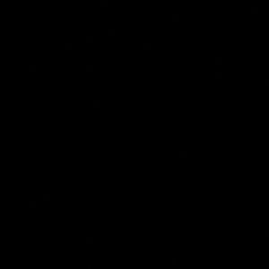 Meet your Posher, Rida