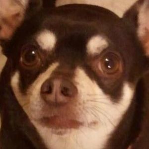 Meet your Posher, Maureen