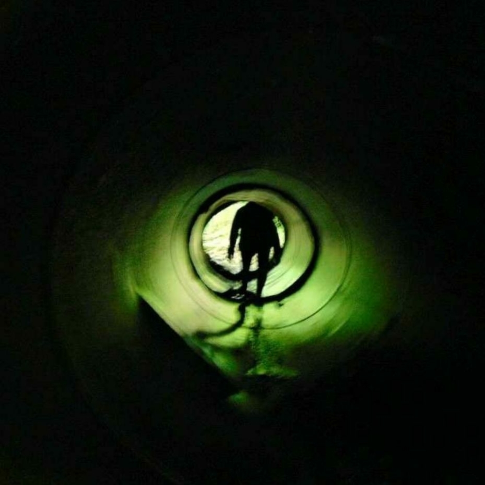 Meet your Posher, Lily