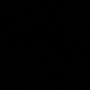 Meet your Posher, Dinelle