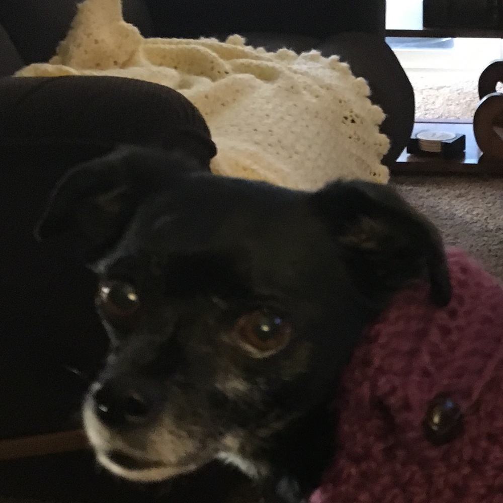 Meet your Posher, Michelle