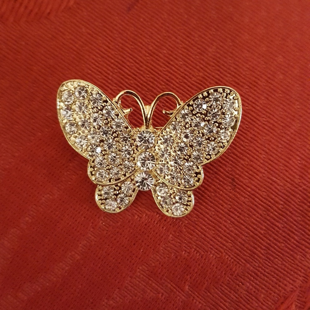 My beautiful new butterfly pin