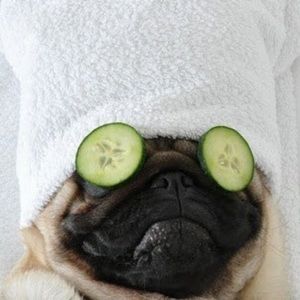 Meet your Posher, Shigeka