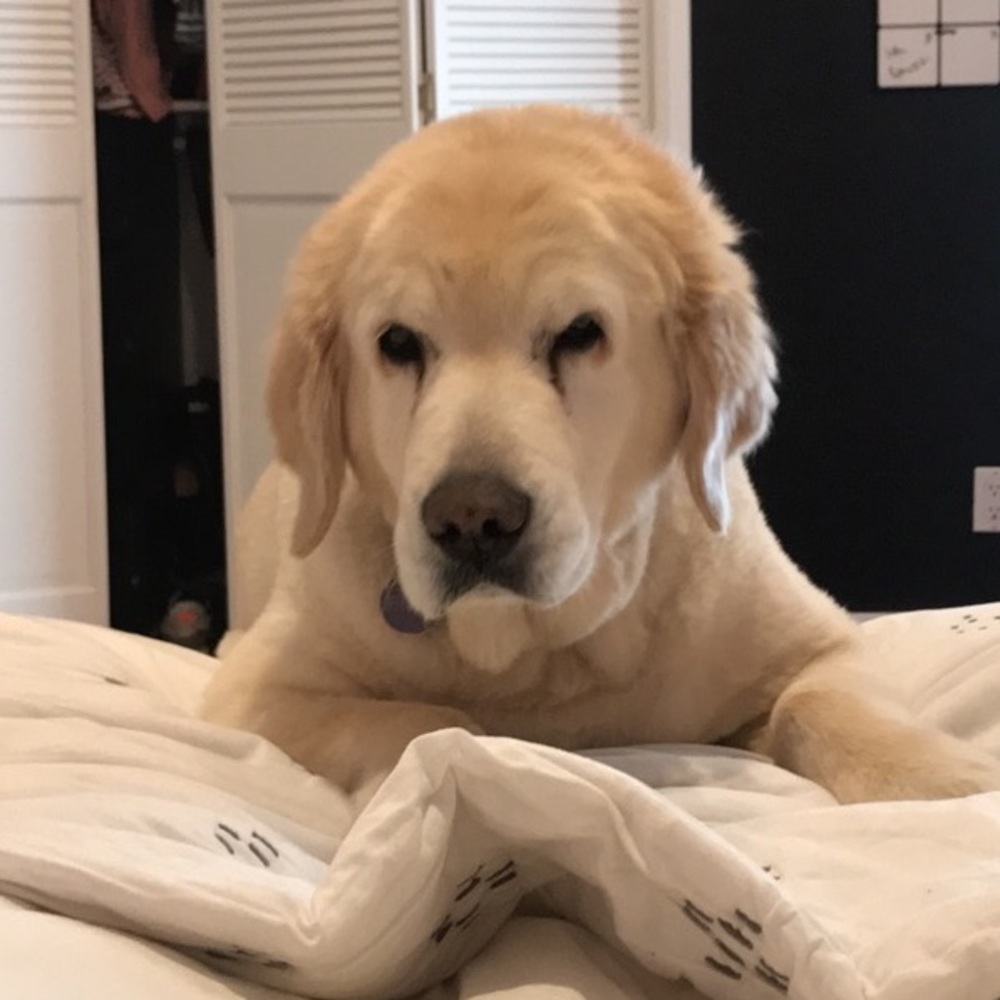 Meet your Posher, Claire