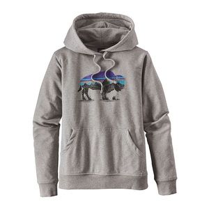 Patagonia Sweatshirt